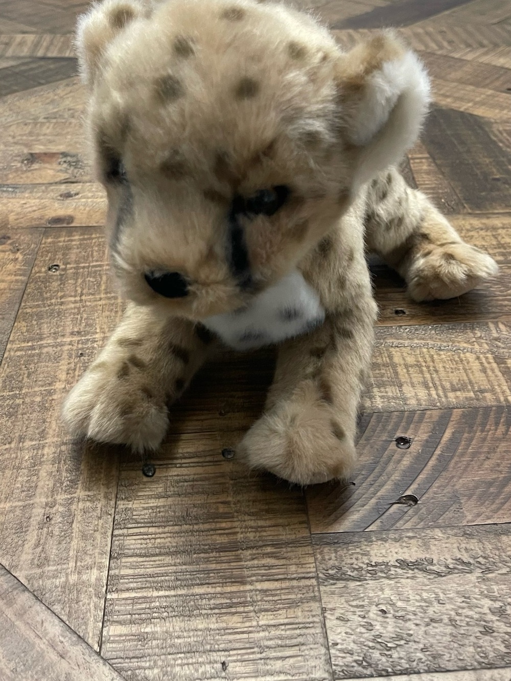 Chillin' Cheetah Cub, a realistic stuffed animal from Douglas Cuddle Toy